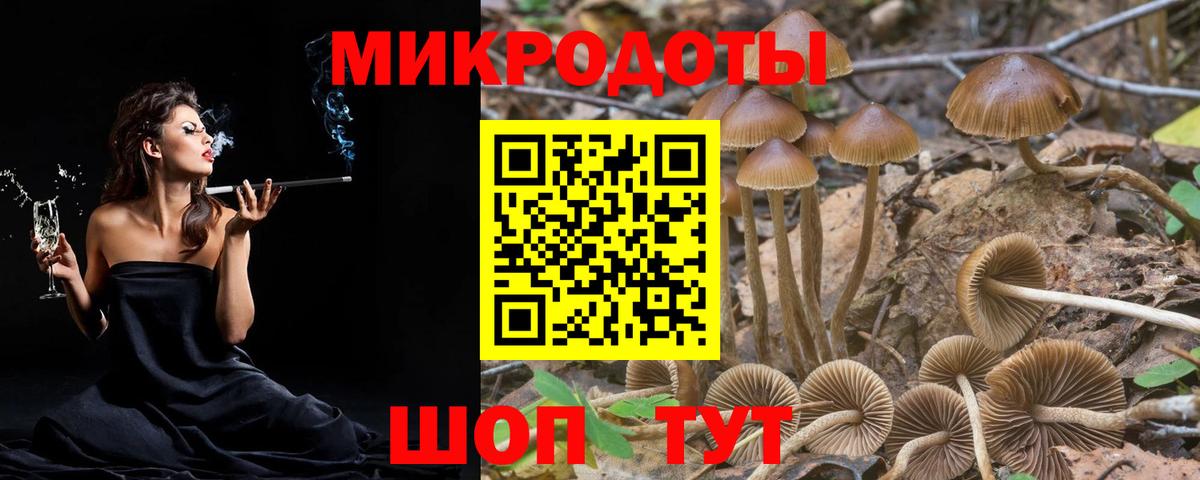 Отрадное  Псилоцибиновые грибы GOLDEN TEACHER  Вход с VPN 