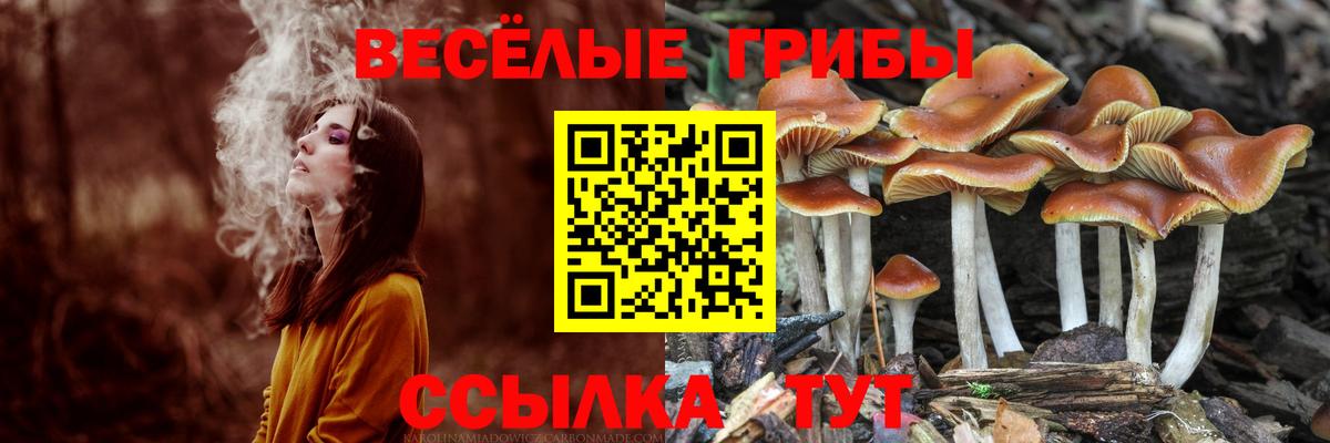 Галлюциногенные грибы Cubensis Отрадное